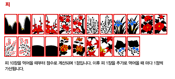 족보5