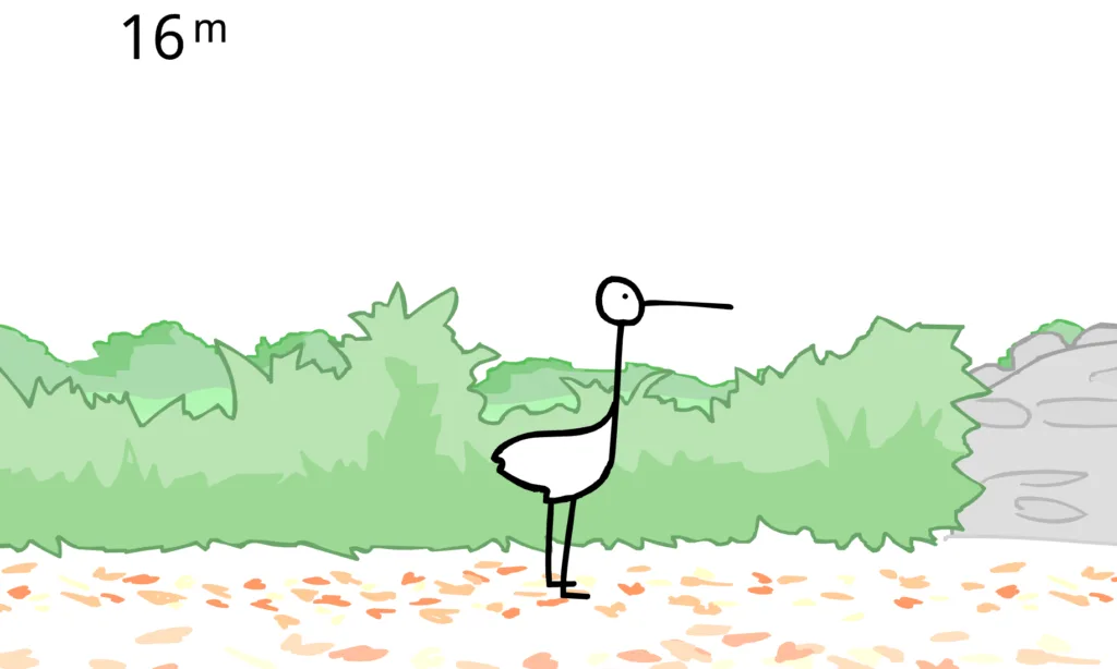 Walk the Stork - 16M