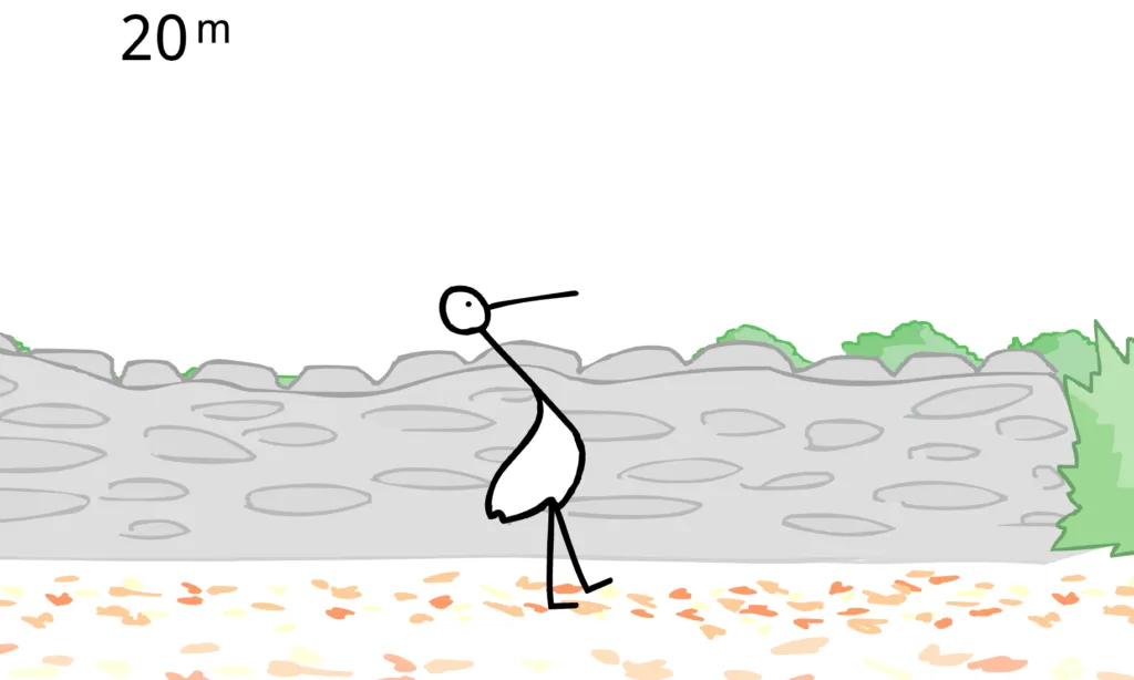 Walk the Stork - 20M